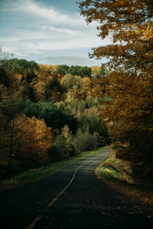 Route dautomne